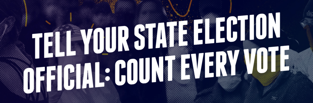 Tell your state election official to go on the record promising to count the votes before declaring a winner.